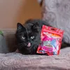 Akinu BITES & FUN Kachní stripsy pamlsek pro kočky 60 g Náhled obrázku produktu 2