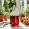 lilawelt24 6x 5L Glasballon Gallone mit Bügelverschluss und Produktbild-Vorschau 4