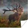 MuchoWow® Poster Hirsche - Geweihe - Pflanzen - Herbst Produktbild-Vorschau 1