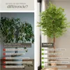 Ficus artificiel FIDA à l'aspect naturel - 180 cm Voir les images du produit 5