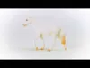 Schleich Farm World Camarillo Stute            13959 Produktbild-Vorschau 9