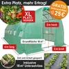 BRAST Gewächshaus Foliengewächshaus mit Stahlfundament | Produktbild-Vorschau 3