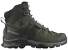 Salomon Quest 4 GTX Sportschuhe Herren Outdoorschuhe Produktbild-Vorschau 1