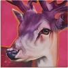 ARTland Leinwandbild Felix pink Größe: 30x30 cm Produktbild-Vorschau 1