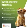 REAVET Bronchial Liquid Tropfen für Hunde 100ml I Liquid Produktbild-Vorschau 5