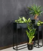 FRAMADO, Pflanzenständer Reno, Metallregal, Blumenständer, Produktbild-Vorschau 9
