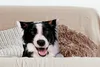 MuchoWow® Zierkissen Sofakissen Wohnzimmer Dekokissen 45x45 Produktbild-Vorschau 4