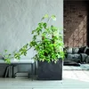 Pot de fleurs avec insert Effet béton gris foncé 58x18x50 Voir les images du produit 6