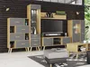 A modern living room setup featuring a media console, shelving units, and a coffee table. Náhled obrázku produktu