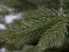 Weihnachtsbaum künstlich grün DELUXE Tanne Bernard 360 cm Produktbild-Vorschau 5