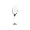 LEONARDO 066408 Brunelli Champagnerglas 340 ml, Teqton Produktbild-Vorschau 1