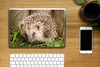MuchoWow® Laptop Aufkleber Sticker Cover Igel für Produktbild-Vorschau 2