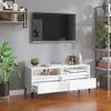 vidaXL TV skrinka biela 100x34,5x44,5 cm odvodený výrobok z Náhľad obrázku produktu 2