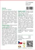 SAFLAX - cikorka - Cichorium intybus - 250 Semena - S Náhled obrázku produktu 3