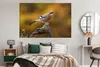 MuchoWow® Poster Vogel - Zweig - Eichelhäher 180x120 cm - Produktbild-Vorschau 4