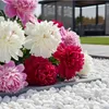 Weißer Thassos Zierkies als Beetabdeckung neben Pfingstrosen im Garten Produktbild-Vorschau