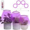 Vollspektrum LED Pflanzenlampe Dimmbar 4 Ring Pflanzenlicht Produktbild-Vorschau 1