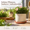 Pflanztopfuntersetzer Mira Terrakotta Ø 49cm - Rund Produktbild-Vorschau 4