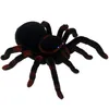 Obrovský pavúk na diaľkové ovládanie Tarantula s diaľkovým Náhľad obrázku produktu 10