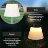 Decorazione solare a LED 'Solini', 30/50/90 cm, acciaio Anteprima dell’immagine prodotto 7