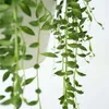 Erbsenpflanze - Senecio rowleyanus - Höhe 10-20cm - ⌀12cm Produktbild-Vorschau 4