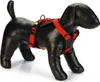 Beeztees Parinca Premium Y-Geschirr - Hundegeschirr - Nylon Produktbild-Vorschau 1