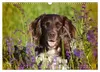 Faszination Jagdhund - Kleiner Münsterländer (Wandkalender Produktbild-Vorschau 15