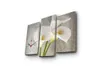 Opviq, 3PATCS- CLA2659, Bunt, Wanduhren, 66 x 45 cm, 100% Produktbild-Vorschau 4