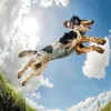 A dog is jumping in the air with a toy in its mouth, against a bright blue sky with clouds. Produktbild-Vorschau