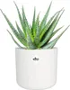 elho b.for Soft Rund 16cm Übertopf - weiss Produktbild-Vorschau 10