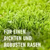 COMPO SAAT Rasen-Reparatur Komplett Mix+ 4 kg Produktbild-Vorschau 6