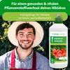 Purgrün Hibiskus-Dünger 1 Liter Produktbild-Vorschau 2