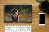 MuchoWow® Laptop Aufkleber Sticker Cover Koala - Sonne - Produktbild-Vorschau 2