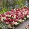 Hydrangea panniculata Groundbreaker Ruby - Hortensja - Podgląd zdjęcia produktu 6