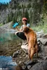 Sawyer MINI Wasserfilter SP128 Blau Produktbild-Vorschau 4