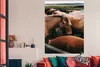 MuchoWow® Poster Pferde - Tiere - Spiel 120x180 cm - Produktbild-Vorschau 3