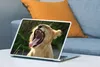 MuchoWow® Laptop Aufkleber Sticker Cover Natur - Löwe - Produktbild-Vorschau 4