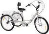 Vélo pliable à trois roues de 24 pouces pour adultes, avec Voir les images du produit 1