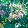 Vogelschutznetz 4 x 10m Laubschutznetz Gartennetz Teichnetz Produktbild-Vorschau 11