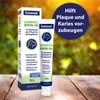 ardapcare Canosept Pasta do zębów Żel dentystyczny dla psów Podgląd zdjęcia produktu 7
