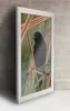 A framed picture of a black bird perched on reeds, displayed on a wall. Produktbild-Vorschau