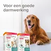 Comprimés IntestoPro chien/chat jusqu'à 20kg - Beaphar Voir les images du produit 3