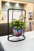 A decorative pot with a plant on a table in what appears to be a cafe or restaurant setting. Produktbild-Vorschau