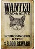 Blechschild Tiere 20x30cm wanted Schrödingers Katze Produktbild-Vorschau 1