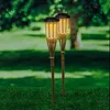 LED Solar Gartenfackel 2er Set Produktbild-Vorschau 2