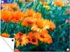 MuchoWow® Produktbild-Vorschau 1