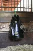 Sac à foin HayBag Capacité (kilogrammes) - 16 kg Voir les images du produit 8