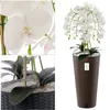 Orchidea artificiale a cascata bouquet bianco in vaso Anteprima dell’immagine prodotto 2