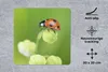 MuchoWow® Mauspad Mousepad Frühling Marienkäfer 20x20 cm - Produktbild-Vorschau 2