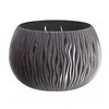 A gray, round planter with a wavy, cut-out design sits on a white background. Náhľad obrázku produktu